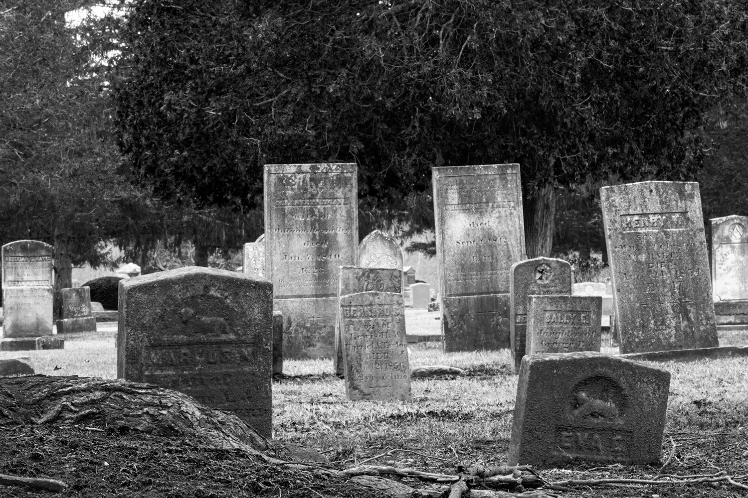 2025 October Event: New England Halloween&nbsp;Photography